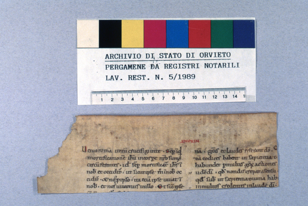 05-03/1989 - Maculatura. Orvieto, Sezione di Archivio di Stato - Dopo il restauro
dia_01558
Keywords: SAS Orvieto,Rest.05/1989,Rest.05-03/1989,Rest.19/1988