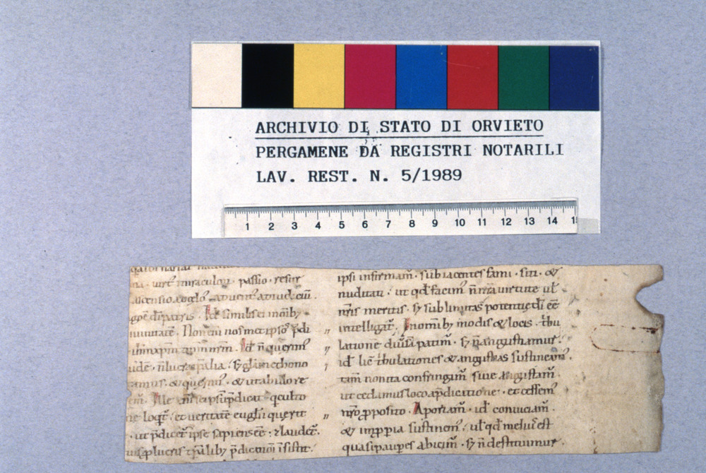 05-04/1989 - Maculatura. Orvieto, Sezione di Archivio di Stato - Dopo il restauro
dia_01560
Keywords: SAS Orvieto,Rest.05/1989,Rest.05-04/1989,Rest.19/1988