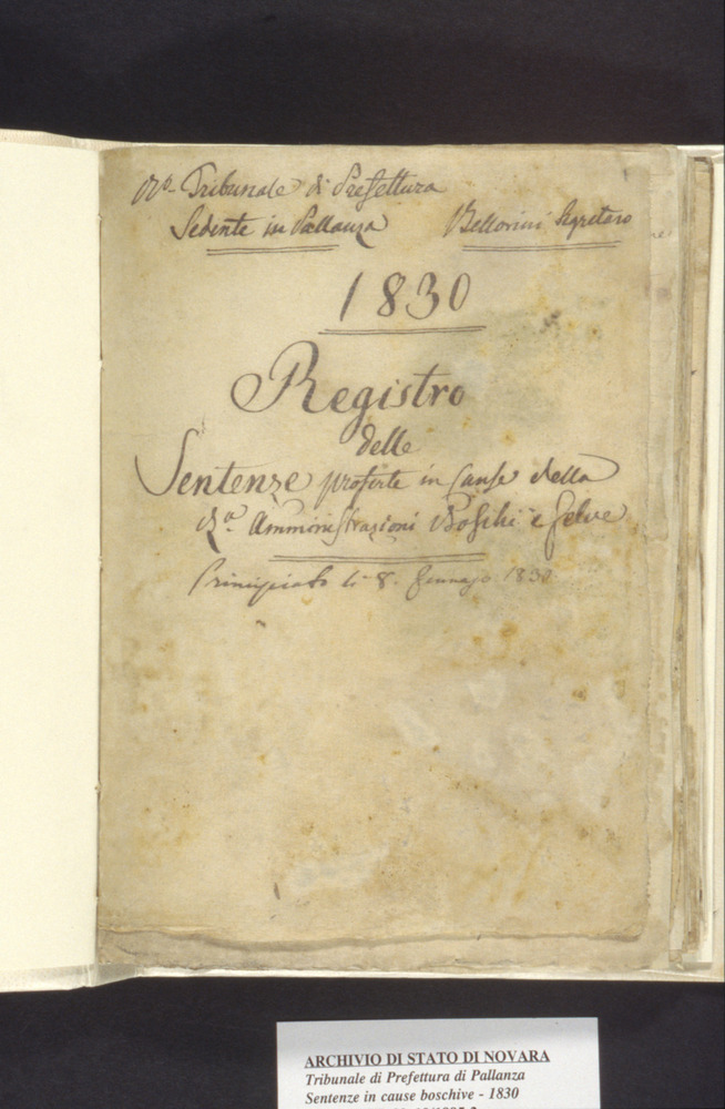 10-02/1995 - Registro di sentenze. Verbania, Archivio di Stato - Dopo il restauro
dia_04940
Keywords: AS Verbania,Rest.10/1995,Rest.10-02/1995