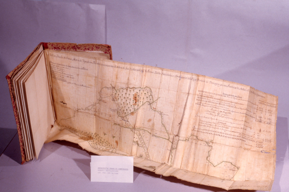 16-03/1988 - Mappe e documenti demaniali. Campobasso, Archivio di Stato - Prima del restauro
dia_01314
Keywords: AS Campobasso,Rest.16/1988,Rest.16-03/1988