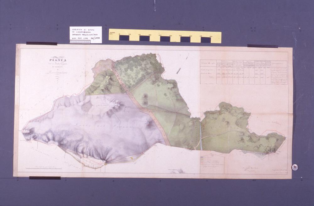 16-01/1988 - Mappe e documenti demaniali. Campobasso, Archivio di Stato - Dopo il restauro
dia_01329
Keywords: AS Campobasso,Rest.16/1988,Rest.16-01/1988