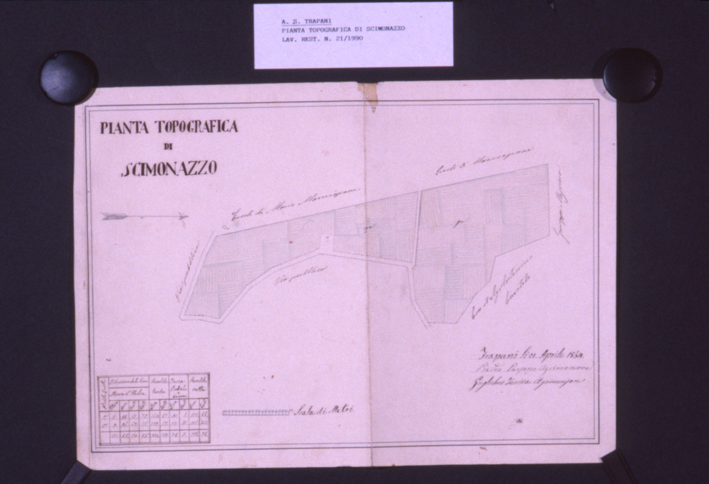 21-12/1990 - Pianta topografica. Trapani, Archivio di Stato - Prima del restauro
dia_02753
Keywords: AS Trapani,Rest.21/1990,Rest.21-12/1990,Rest.05/1991,Rest.05-12/1991