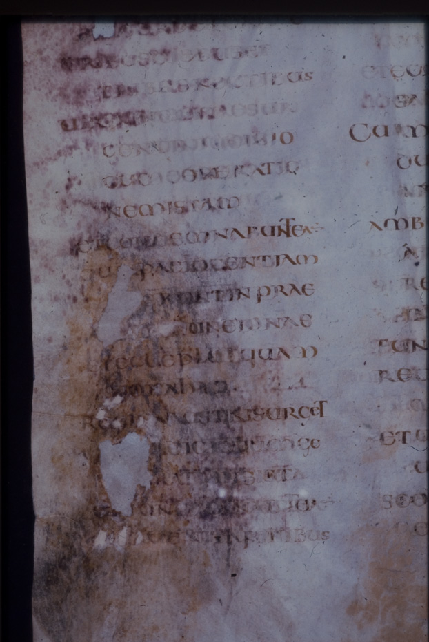 Evangeliario di S. Marco. Cividale del Friuli, Museo archeologico nazionale. Archivi e Biblioteca, CXXXVIII
icpal_02154
Keywords: MAN Cividale del Friuli,ex 23.5/1978,23/1978