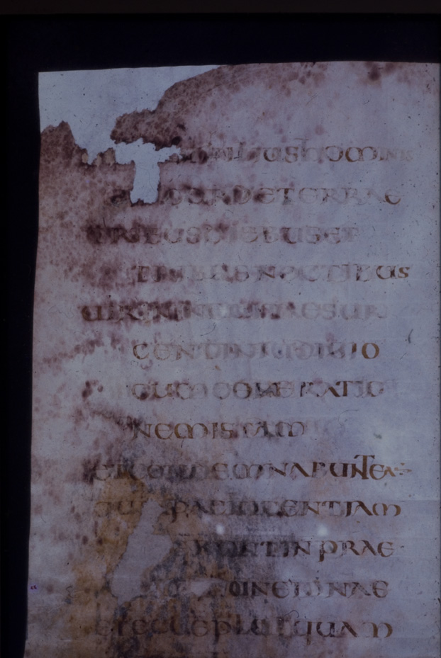 Evangeliario di S. Marco. Cividale del Friuli, Museo archeologico nazionale. Archivi e Biblioteca, CXXXVIII
icpal_02158
Keywords: MAN Cividale del Friuli,ex 23.5/1978,23/1978