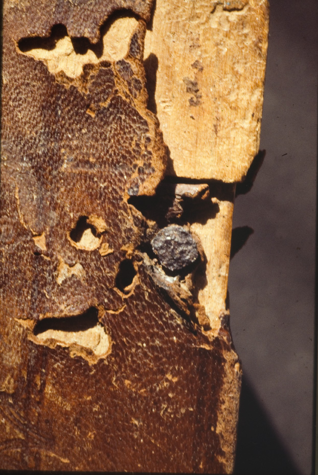 Cividale del Friuli, Museo archeologico nazionale. Archivi e Biblioteca, XCIV
icpal_03800
Keywords: MAN Cividale del Friuli,ex 23.4/1978,23/1978