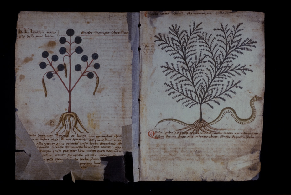 Lucca, Biblioteca statale, Ms. 196 (B.150)
icpal_17576
Keywords: BS Lucca,1192.8/1987,1192/1987