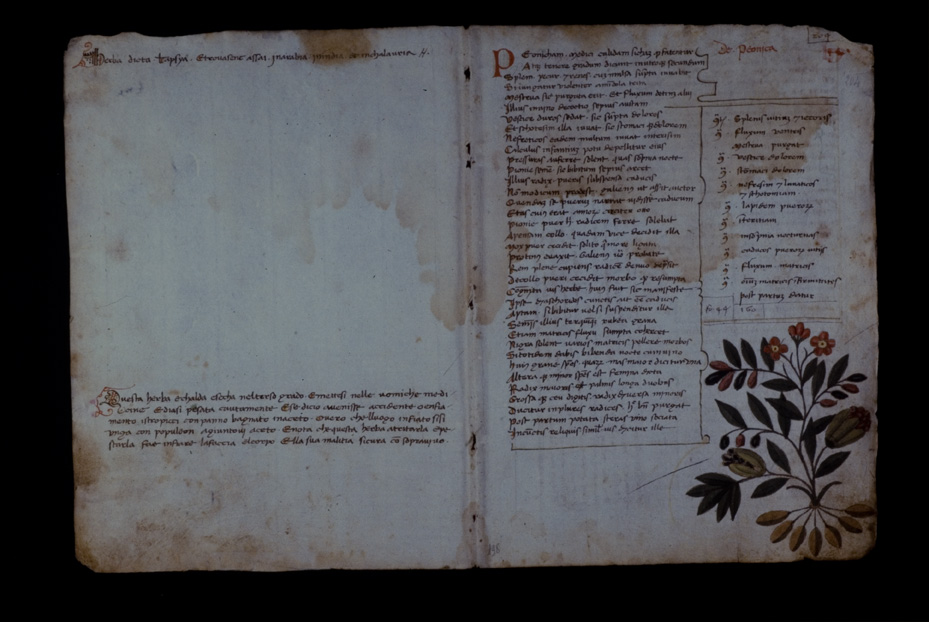 Lucca, Biblioteca statale, Ms. 196 (B.150)
icpal_17589
Keywords: BS Lucca,1192.8/1987,1192/1987