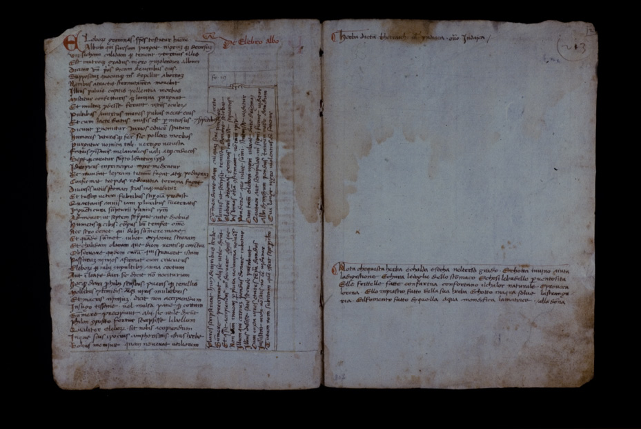 Lucca, Biblioteca statale, Ms. 196 (B.150)
icpal_17590
Keywords: BS Lucca,1192.8/1987,1192/1987