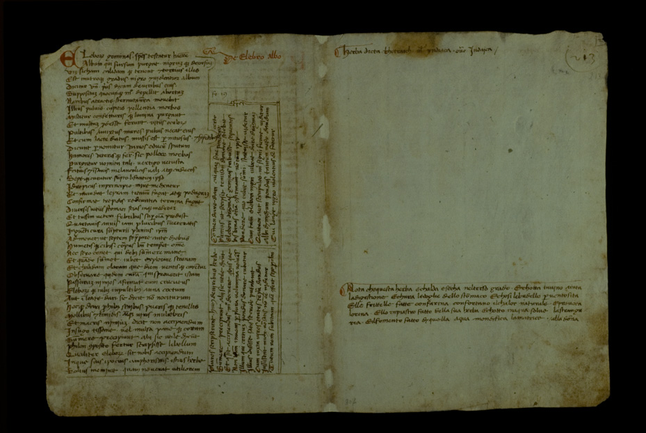 Lucca, Biblioteca statale, Ms. 196 (B.150)
icpal_17592
Keywords: BS Lucca,1192.8/1987,1192/1987