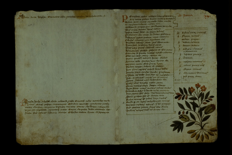 Lucca, Biblioteca statale, Ms. 196 (B.150)
icpal_17594
Keywords: BS Lucca,1192.8/1987,1192/1987