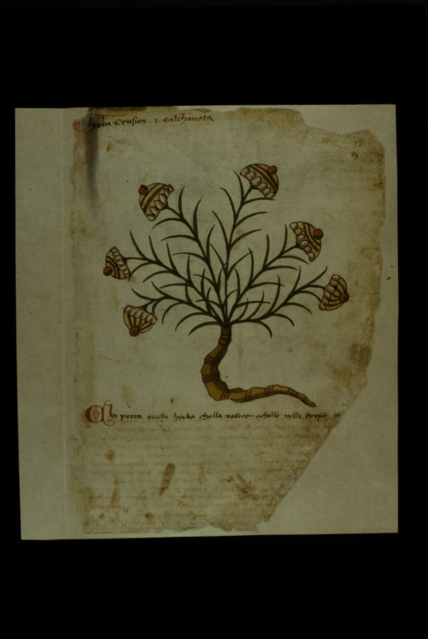 Lucca, Biblioteca statale, Ms. 196 (B.150)
icpal_17604
Keywords: BS Lucca,1192.8/1987,1192/1987