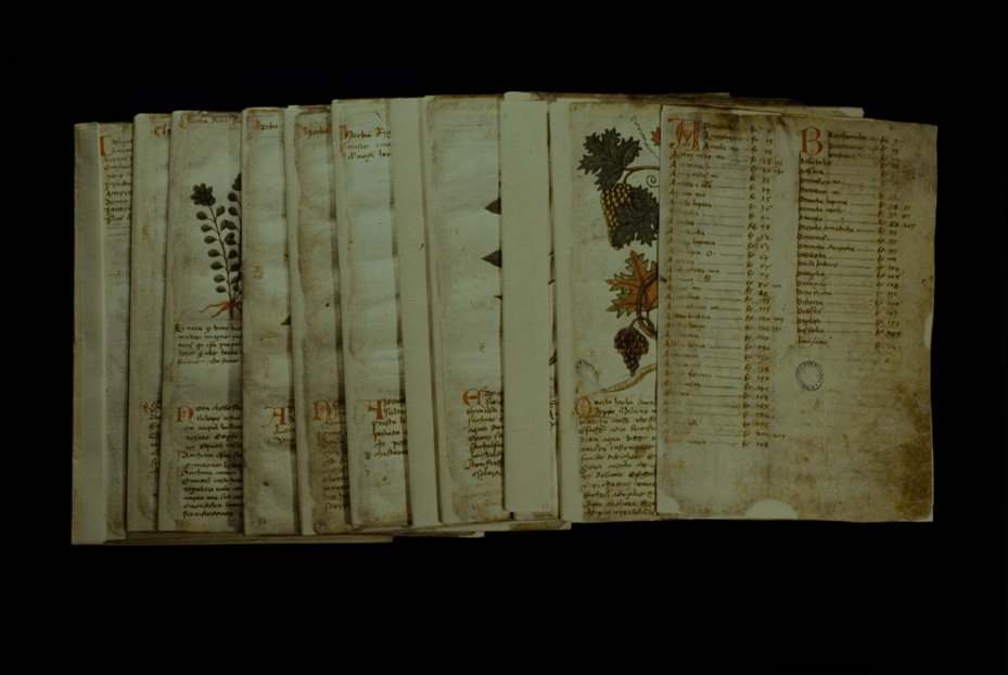 Lucca, Biblioteca statale, Ms. 196 (B.150)
icpal_17613
Keywords: BS Lucca,1192.8/1987,1192/1987