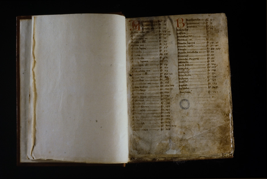 Lucca, Biblioteca statale, Ms. 196 (B.150)
icpal_17619
Keywords: BS Lucca,1192.8/1987,1192/1987