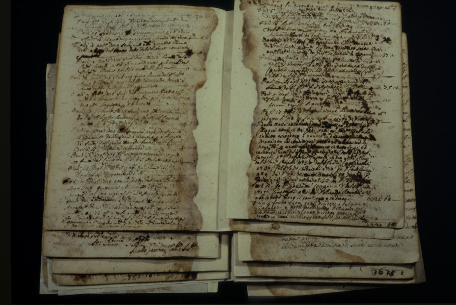 Manoscritto su carta “Sacristia entrata et censi”. Nocera Umbra, Biblioteca Comunale
icpal_02222
Keywords: 630/1977, 630.2/1977, BCom Nocera Umbra Sacristia entrata et censi, BCom Nocera Umbra