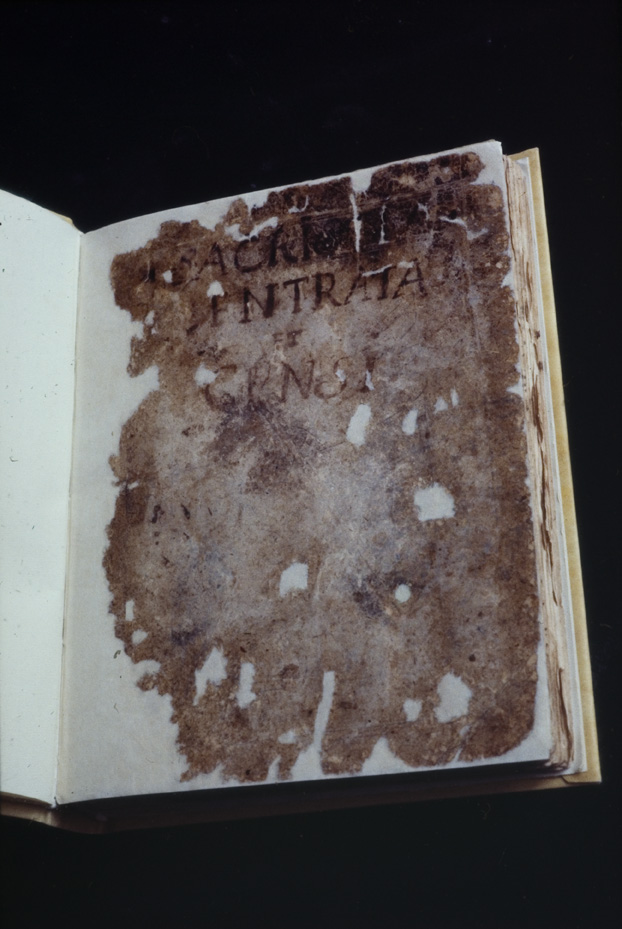 Manoscritto su carta “Sacristia entrata et censi”. Nocera Umbra, Biblioteca Comunale
icpal_06702
Keywords: 630/1977, 630.2/1977, BCom Nocera Umbra Sacristia entrata et censi, BCom Nocera Umbra