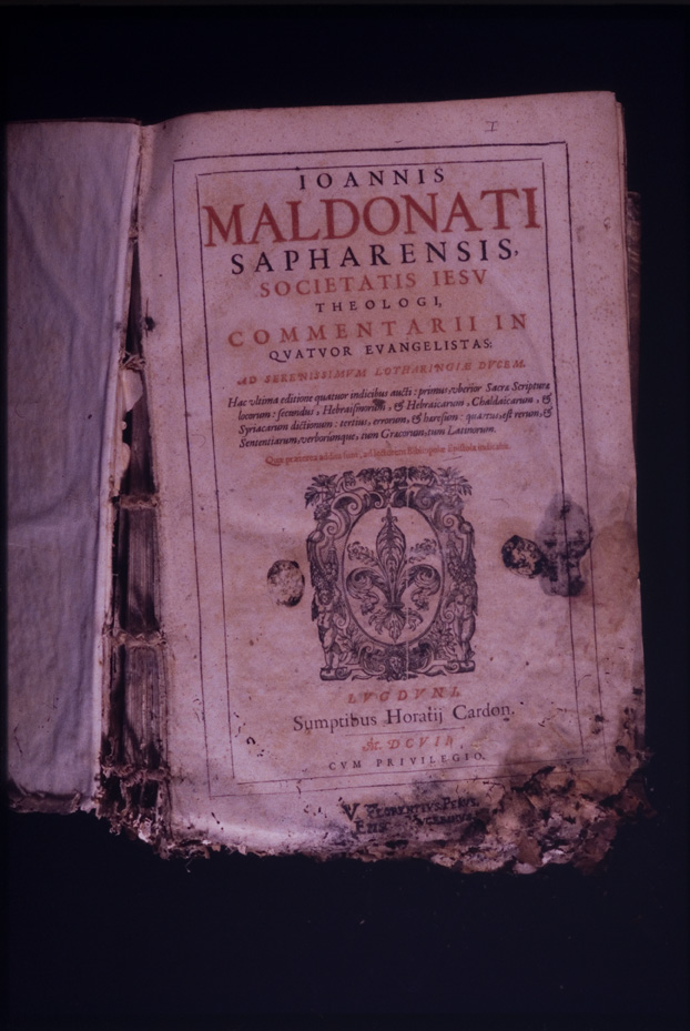 Seicentina “in quatuor euangelistas”. Nocera Umbra, Biblioteca diocesana Piervissani
icpal_01300
Keywords: 637/1977, 637.2/1977, Piervissani Commentarii 1607, Piervissani