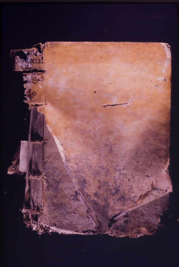 Seicentina “in quatuor euangelistas”. Nocera Umbra, Biblioteca diocesana Piervissani
icpal_01302
Keywords: 637/1977, 637.2/1977, Piervissani Commentarii 1607, Piervissani