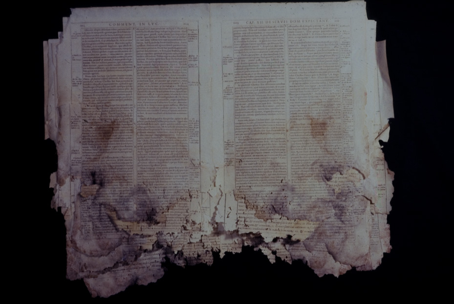 Seicentina “in quatuor euangelistas”. Nocera Umbra, Biblioteca diocesana Piervissani
icpal_01307
Keywords: 637/1977, 637.2/1977, Piervissani Commentarii 1607, Piervissani