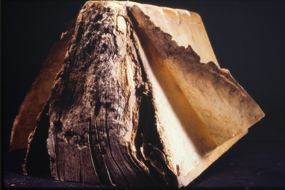 Seicentina “Moralis encyclopaedia”. Nocera Umbra, Biblioteca diocesana Piervissani
icpal_01316
Keywords: 637/1977, 637.1/1977, Piervissani Moralis encyclopaedia 1656, Piervissani