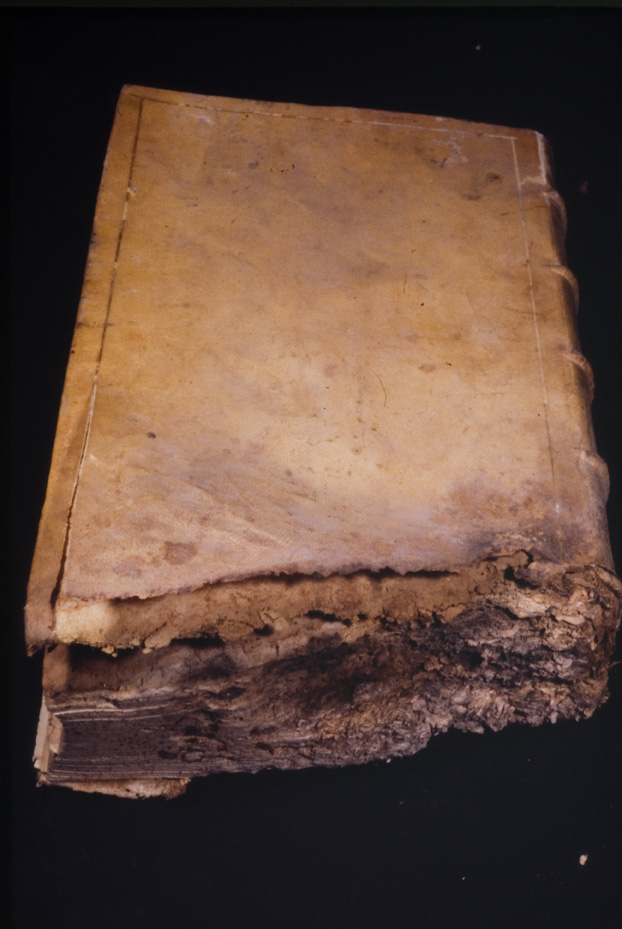 Moralis encyclopaedia 1656 [Seicentina]. Nocera Umbra, Biblioteca diocesana Piervissani
icpal_01320
Keywords: 637/1977, 637.1/1977, Piervissani Moralis encyclopaedia 1656, Piervissani