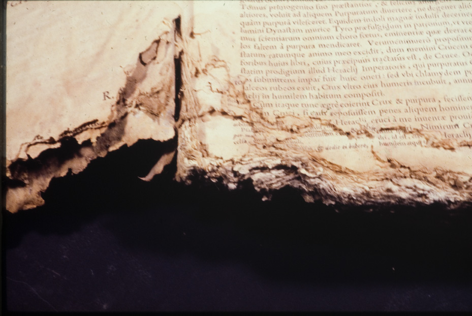 Moralis encyclopaedia 1656 [Seicentina]. Nocera Umbra, Biblioteca diocesana Piervissani
icpal_01327
Keywords: 637/1977, 637.1/1977, Piervissani Moralis encyclopaedia 1656, Piervissani