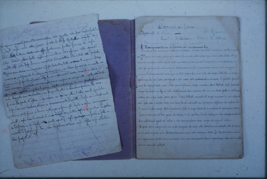 Antonio Gramsci, Quaderno di fisica. Roma, Fondazione Gramsci Onlus (già Fondazione Istituto Gramsci)
icpal_08488
Keywords: 909/1982, 909.y/1982, Fondaz. Gramsci Roma Gramsci - Autografi e documenti, Fondaz. Gramsci Roma