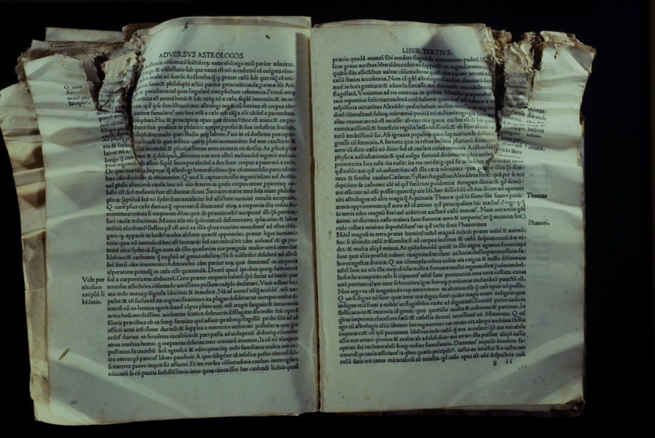 Verona, Biblioteca diocesana del Seminario maggiore, Giul. 347 - IGI 7733
icpal_07224
Keywords: 1080/1985, Verona B Seminario maggiore Giul. 347, IGI 7733, Verona B Seminario maggiore