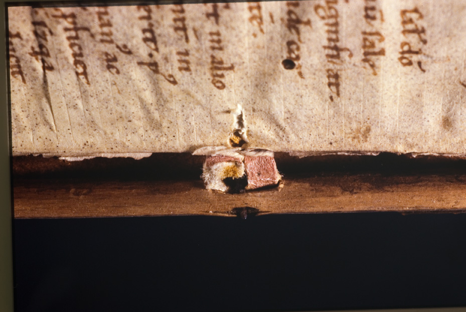 De Vita Christiana, 12. sec. Brescia, Museo Diocesano, Bonizone da Sutri
icpal_12394
Keywords: 1099/1986, 1099.4/1986, Brescia M Diocesano Bonizone da Sutri 12. sec., Brescia M Diocesano
