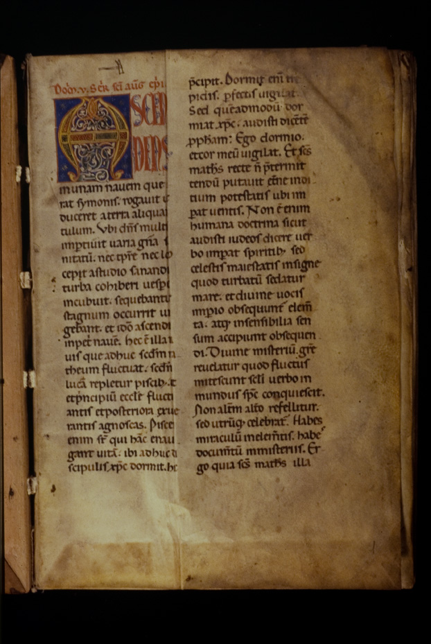 Sermones di Sant'Agostino, 12. sec. Brescia, Museo Diocesano
icpal_12436
Keywords: 1099/1986, 1099.6/1986, Brescia M Diocesano Sermones di Sant'Agostino 12. sec., Brescia M Diocesano