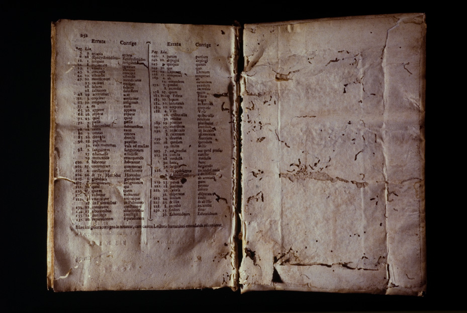 Roma, Biblioteca Medica Statale, D 763
icpal_10151
Keywords: 1168/1987, 1168.2/1987, Medica Statale D 763, Medica Statale