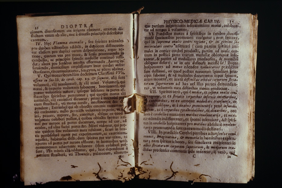 Roma, Biblioteca Medica Statale, D 763
icpal_10160
Keywords: 1168/1987, 1168.2/1987, Medica Statale D 763, Medica Statale