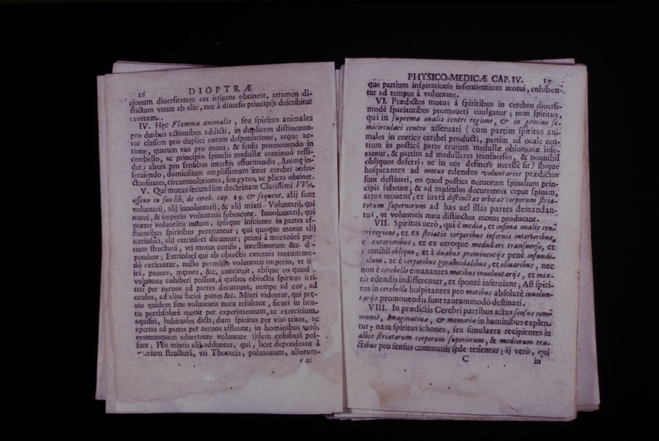 Roma, Biblioteca Medica Statale, D 763
icpal_10161
Keywords: 1168/1987, 1168.2/1987, Medica Statale D 763, Medica Statale