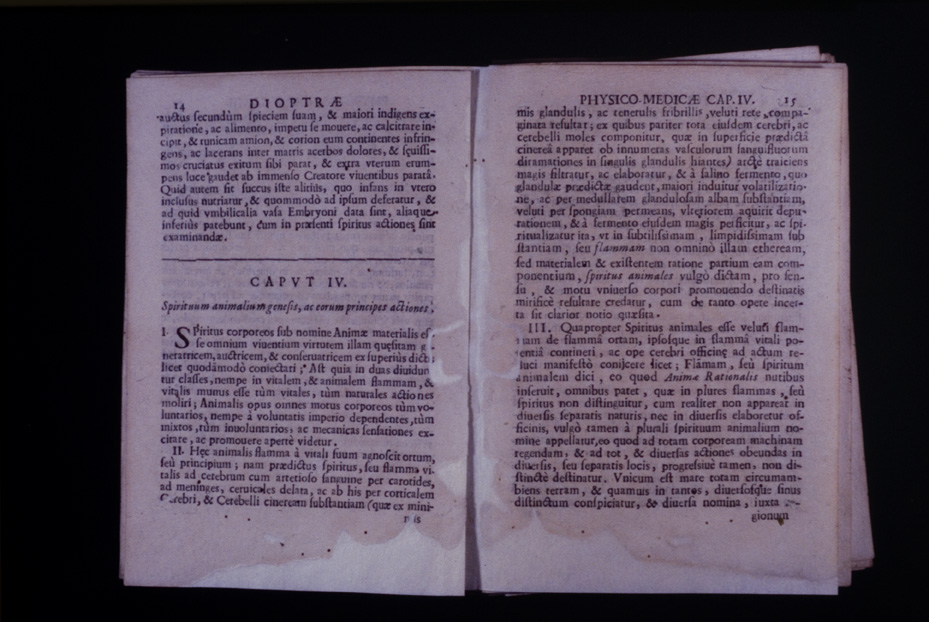 Roma, Biblioteca Medica Statale, D 763
icpal_10162
Keywords: 1168/1987, 1168.2/1987, Medica Statale D 763, Medica Statale