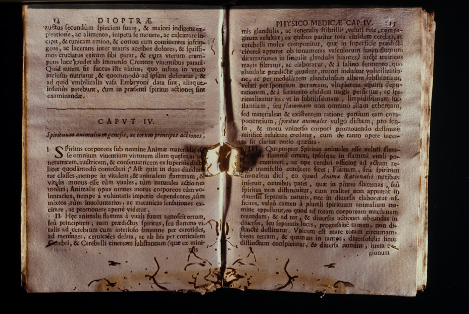 Roma, Biblioteca Medica Statale, D 763
icpal_10163
Keywords: 1168/1987, 1168.2/1987, Medica Statale D 763, Medica Statale