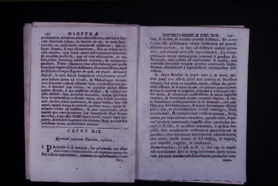 Roma, Biblioteca Medica Statale, D 763
icpal_10164
Keywords: 1168/1987, 1168.2/1987, Medica Statale D 763, Medica Statale
