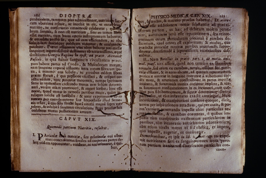Roma, Biblioteca Medica Statale, D 763
icpal_10165
Keywords: 1168/1987, 1168.2/1987, Medica Statale D 763, Medica Statale