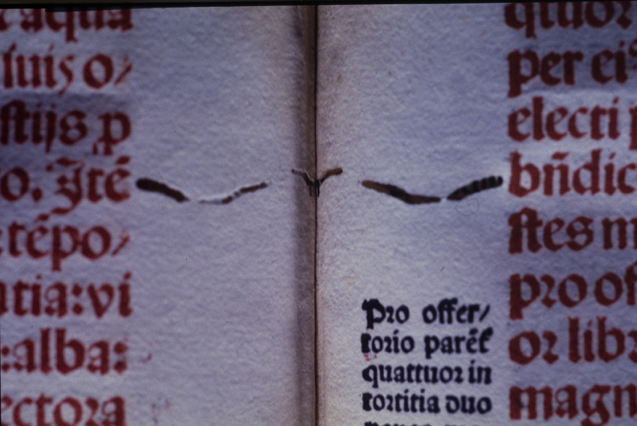 Roma, Biblioteca dell'Istituto storico domenicano, IL.P.520
icpal_10228
Keywords: 1183/1987, 1183.2/1987, B Ist. Sto. Domenicano IL.P.520, B Ist. Sto. Domenicano