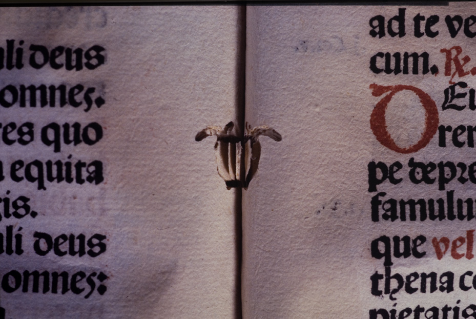 Roma, Biblioteca dell'Istituto storico domenicano, IL.P.520
icpal_10231
Keywords: 1183/1987, 1183.2/1987, B Ist. Sto. Domenicano IL.P.520, B Ist. Sto. Domenicano