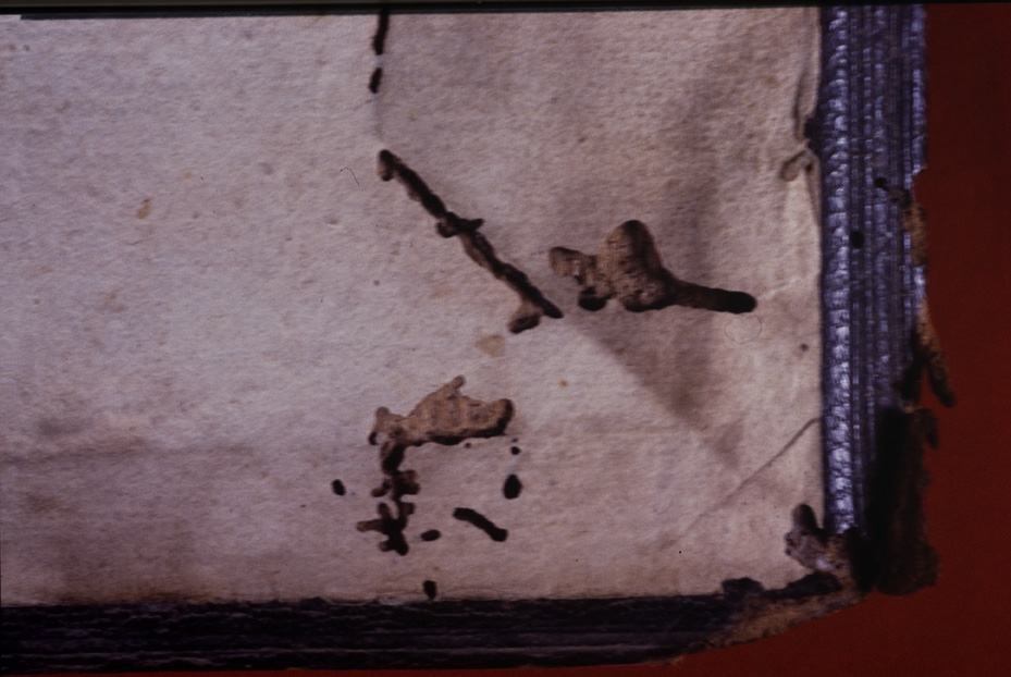 Roma, Biblioteca dell'Istituto storico domenicano, IL.P.520
icpal_10234
Keywords: 1183/1987, 1183.2/1987, B Ist. Sto. Domenicano IL.P.520, B Ist. Sto. Domenicano