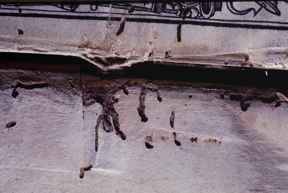 Roma, Biblioteca dell'Istituto storico domenicano, IL.P.520
icpal_10237
Keywords: 1183/1987, 1183.2/1987, B Ist. Sto. Domenicano IL.P.520, B Ist. Sto. Domenicano
