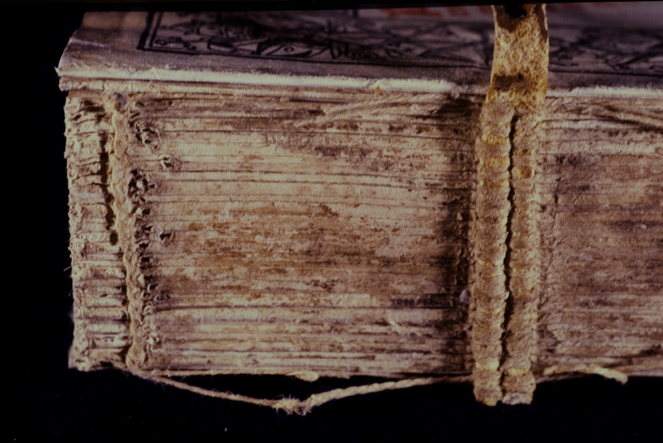 Roma, Biblioteca dell'Istituto storico domenicano, IL.P.520
icpal_10243
Keywords: 1183/1987, 1183.2/1987, B Ist. Sto. Domenicano IL.P.520, B Ist. Sto. Domenicano