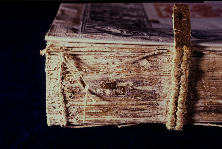 Roma, Biblioteca dell'Istituto storico domenicano, IL.P.520
icpal_10245
Keywords: 1183/1987, 1183.2/1987, B Ist. Sto. Domenicano IL.P.520, B Ist. Sto. Domenicano