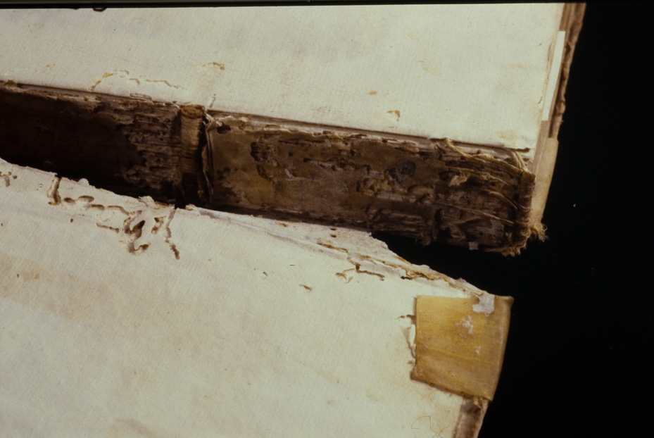 Roma, Biblioteca dell'Istituto storico domenicano, 208.TMA.2
icpal_10106
Keywords: 1183/1987, 1183.7/1987, B Ist. Sto. Domenicano 208.TMA.2, B Ist. Sto. Domenicano