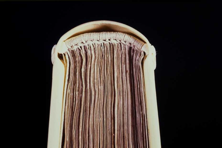 Roma, Biblioteca dell'Istituto storico domenicano, 208.TMA.2
icpal_10119
Keywords: 1183/1987, 1183.7/1987, B Ist. Sto. Domenicano 208.TMA.2, B Ist. Sto. Domenicano