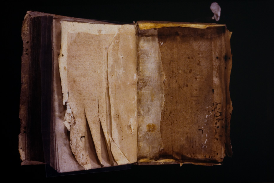 Seicentina, 1619. Procida, Biblioteca dell'Abbazia di San Michele Arcangelo
icpal_07862
Keywords: 1185/1987, 1185.1/1987, Procida Abbazia S. Michele Arcangelo Secicentina 1619, Procida Abbazia S. Michele Arcangelo