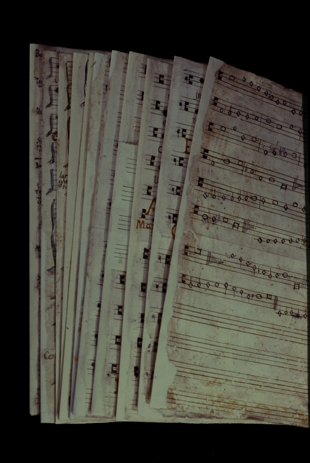 Manoscritto musicale a. 1770. Procida, Biblioteca dell'Abbazia di San Michele Arcangelo
icpal_07834
Keywords: 1185/1987, 1185.2/1987, Procida Abbazia S. Michele Arcangelo Manoscritto musicale a. 1770, Procida Abbazia S. Michele Arcangelo