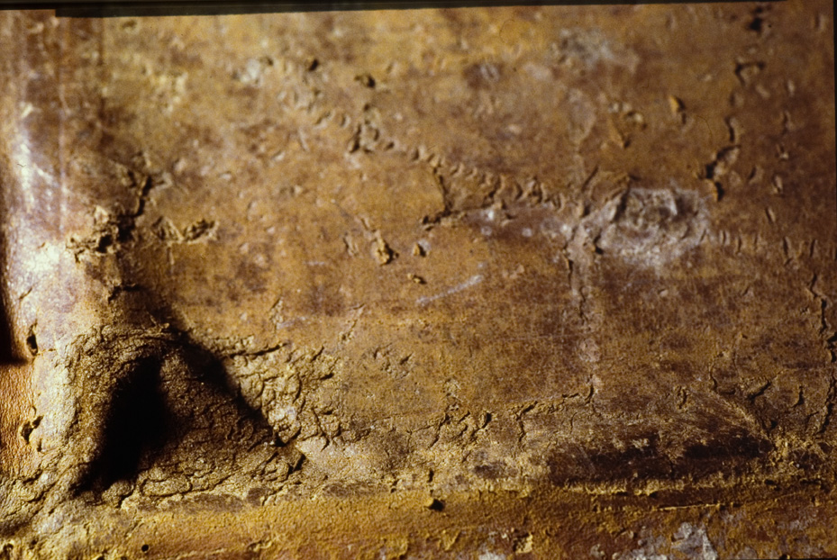 Manoscritto musicale a. 1770. Procida, Biblioteca dell'Abbazia di San Michele Arcangelo
icpal_07835
Keywords: 1185/1987, 1185.2/1987, Procida Abbazia S. Michele Arcangelo Manoscritto musicale a. 1770, Procida Abbazia S. Michele Arcangelo