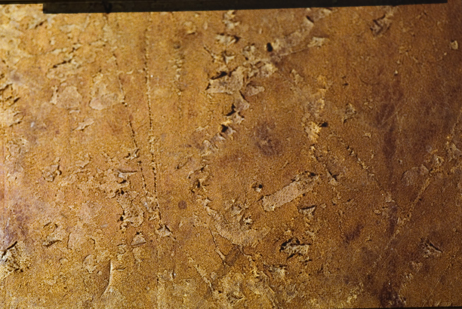 Manoscritto musicale a. 1770. Procida, Biblioteca dell'Abbazia di San Michele Arcangelo
icpal_07838
Keywords: 1185/1987, 1185.2/1987, Procida Abbazia S. Michele Arcangelo Manoscritto musicale a. 1770, Procida Abbazia S. Michele Arcangelo