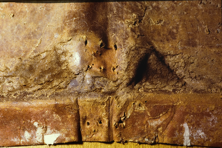 Manoscritto musicale a. 1770. Procida, Biblioteca dell'Abbazia di San Michele Arcangelo
icpal_07840
Keywords: 1185/1987, 1185.2/1987, Procida Abbazia S. Michele Arcangelo Manoscritto musicale a. 1770, Procida Abbazia S. Michele Arcangelo