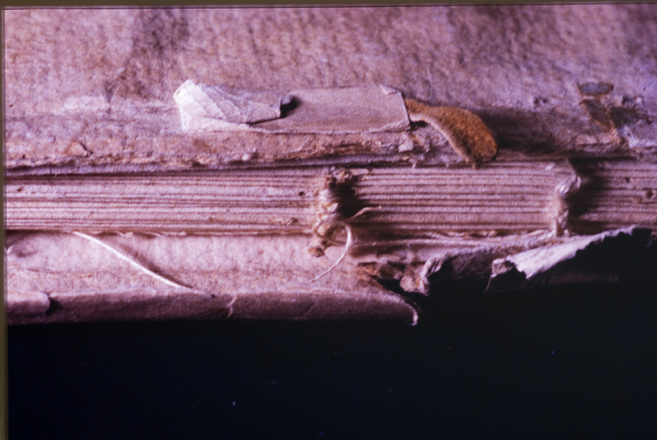 Venezia, Soprintendenza Speciale per il Patrimonio Storico Artistico Etnoantropologico e per il Polo Museale della città di Venezia e dei comuni della gronda lagunare, D.III.2
icpal_09624
Keywords: 1191/1987, 1191.4/1987, Sopr. SPSAE VE e gronda lagunare D.III.2, Sopr. SPSAE VE e gronda lagunare
